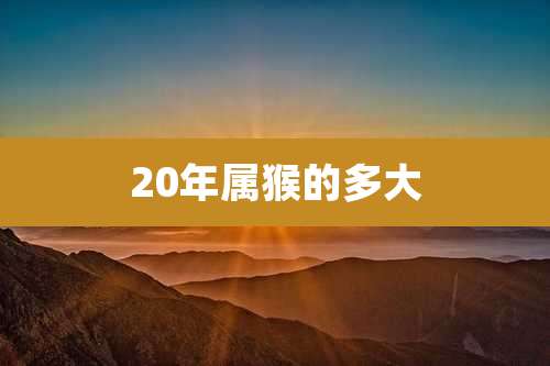 20年属猴的多大