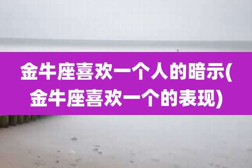金牛座喜欢一个人的暗示(金牛座喜欢一个的表现)