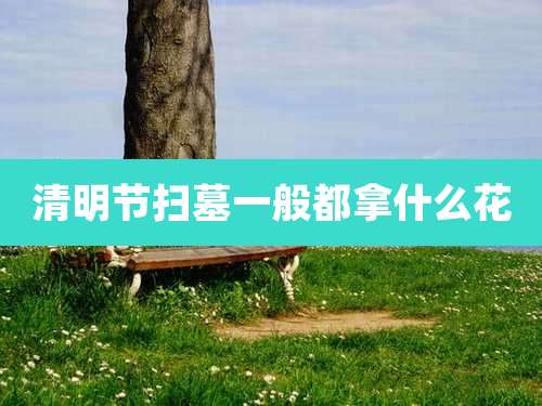 清明节扫墓一般都拿什么花