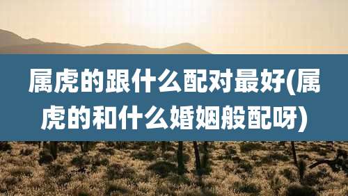 属虎的跟什么配对最好(属虎的和什么婚姻般配呀)