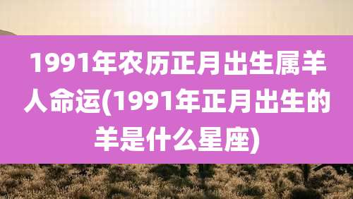 1991年农历正月出生属羊人命运(1991年正月出生的羊是什么星座)