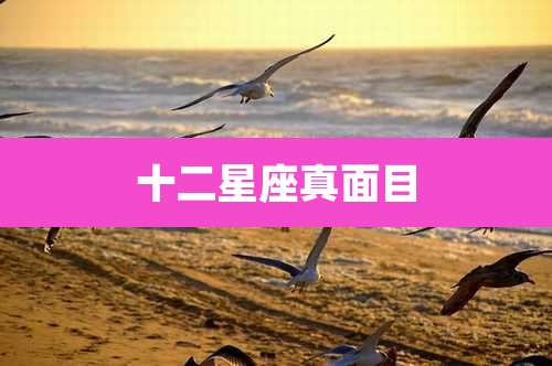 十二星座真面目