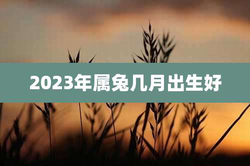 2023年属兔几月出生好