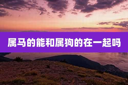 属马的能和属狗的在一起吗