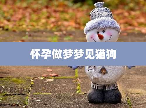 怀孕做梦梦见猫狗