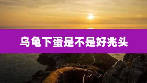 乌龟下蛋是不是好兆头