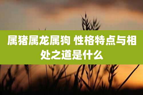 属猪属龙属狗 性格特点与相处之道是什么