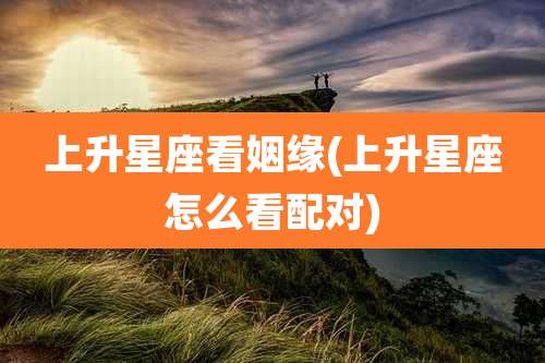 上升星座看姻缘(上升星座怎么看配对)
