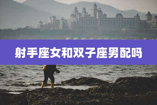 射手座女和双子座男配吗