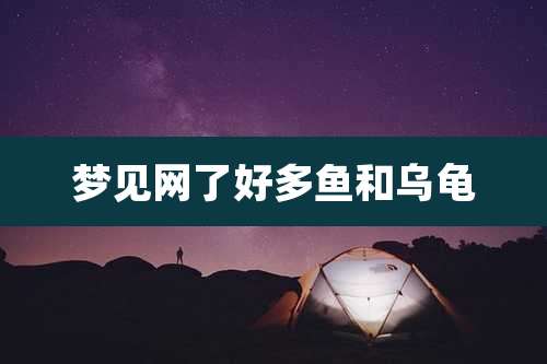 梦见网了好多鱼和乌龟