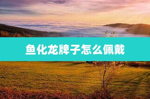 鱼化龙牌子怎么佩戴