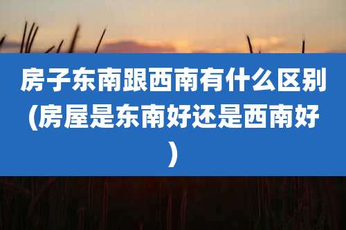 房子东南跟西南有什么区别(房屋是东南好还是西南好)