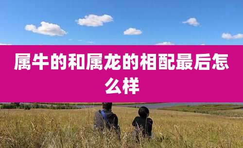 属牛的和属龙的相配最后怎么样