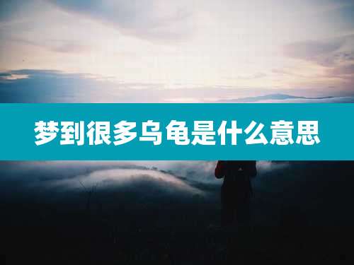 梦到很多乌龟是什么意思