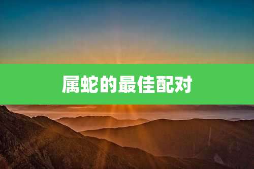 属蛇的最佳配对