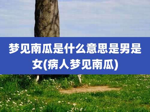 梦见南瓜是什么意思是男是女(病人梦见南瓜)
