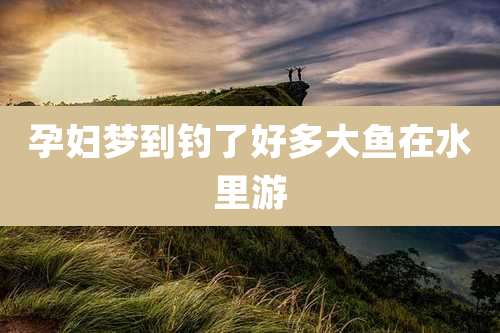 孕妇梦到钓了好多大鱼在水里游