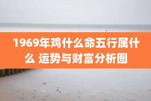 1969年鸡什么命五行属什么 运势与财富分析图