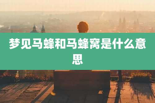 梦见马蜂和马蜂窝是什么意思