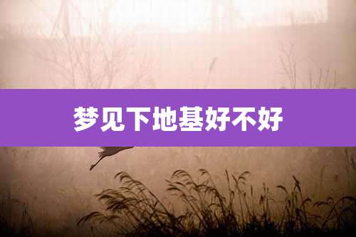 梦见下地基好不好