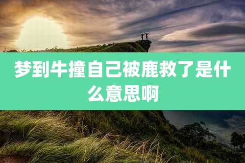 梦到牛撞自己被鹿救了是什么意思啊