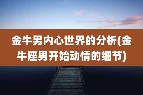 金牛男内心世界的分析(金牛座男开始动情的细节)