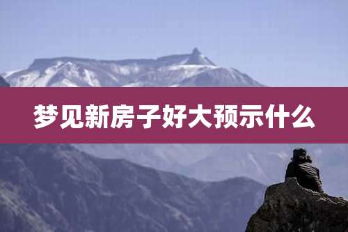 梦见新房子好大预示什么