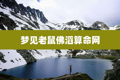 梦见老鼠佛滔算命网