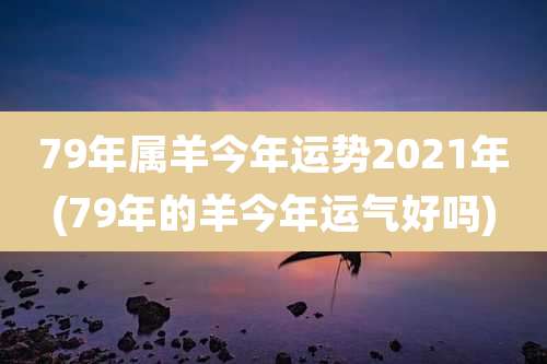79年属羊今年运势2021年(79年的羊今年运气好吗)