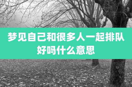 梦见自己和很多人一起排队好吗什么意思