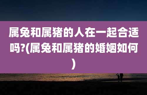 属兔和属猪的人在一起合适吗?(属兔和属猪的婚姻如何)