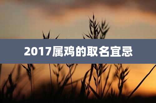 2017属鸡的取名宜忌