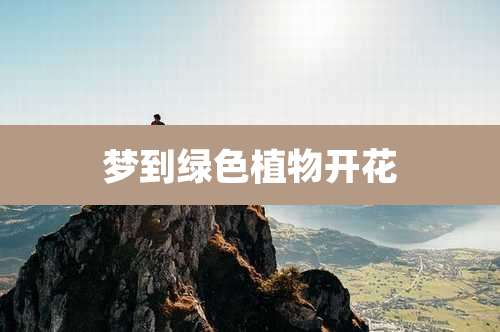 梦到绿色植物开花