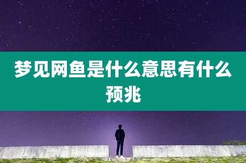 梦见网鱼是什么意思有什么预兆