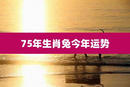 75年生肖兔今年运势