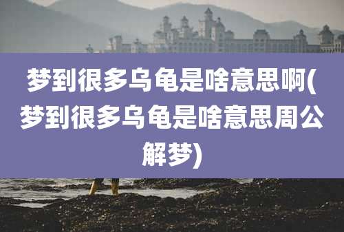 梦到很多乌龟是啥意思啊(梦到很多乌龟是啥意思周公解梦)