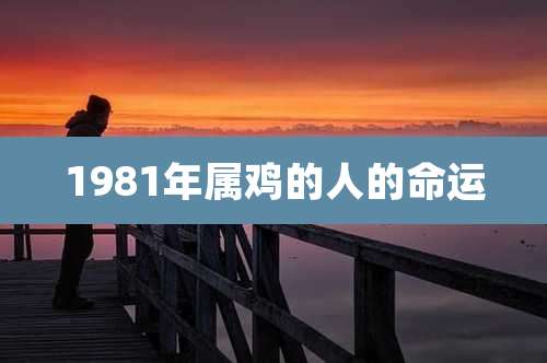 1981年属鸡的人的命运