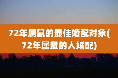 72年属鼠的最佳婚配对象(72年属鼠的人婚配)