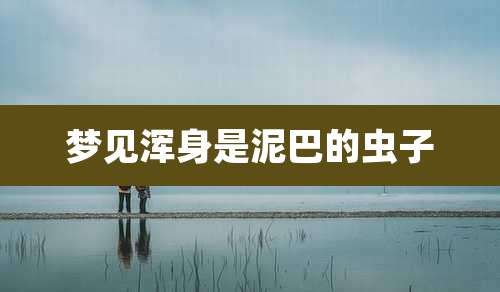 梦见浑身是泥巴的虫子