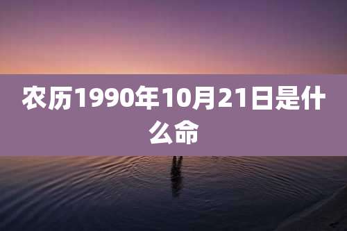 农历1990年10月21日是什么命