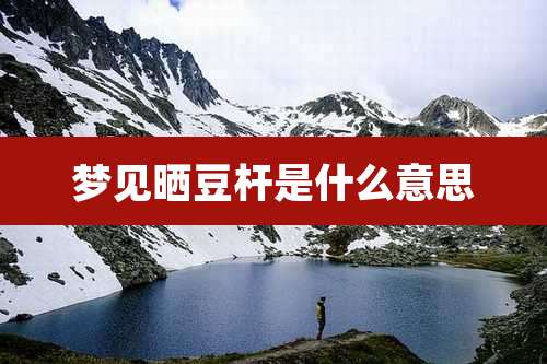 梦见晒豆杆是什么意思