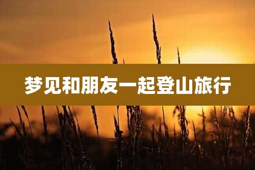 梦见和朋友一起登山旅行