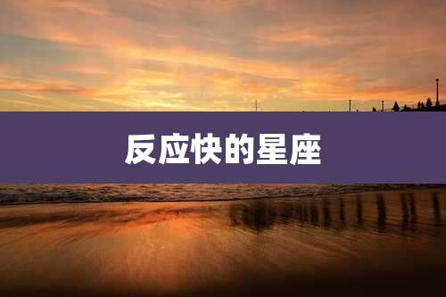反应快的星座