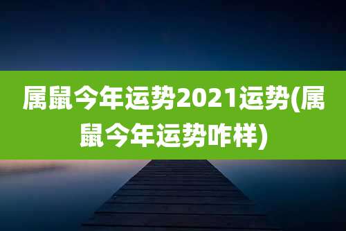 属鼠今年运势2021运势(属鼠今年运势咋样)