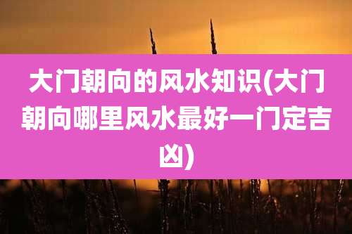 大门朝向的风水知识(大门朝向哪里风水最好一门定吉凶)