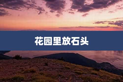 花园里放石头
