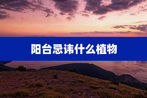 阳台忌讳什么植物