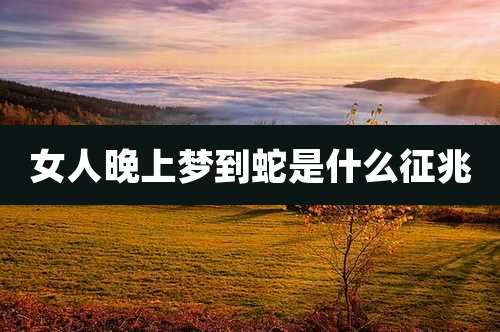 女人晚上梦到蛇是什么征兆