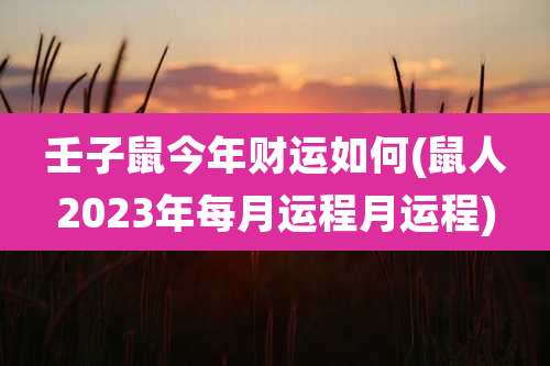 壬子鼠今年财运如何(鼠人2023年每月运程月运程)