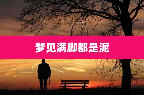 梦见满脚都是泥